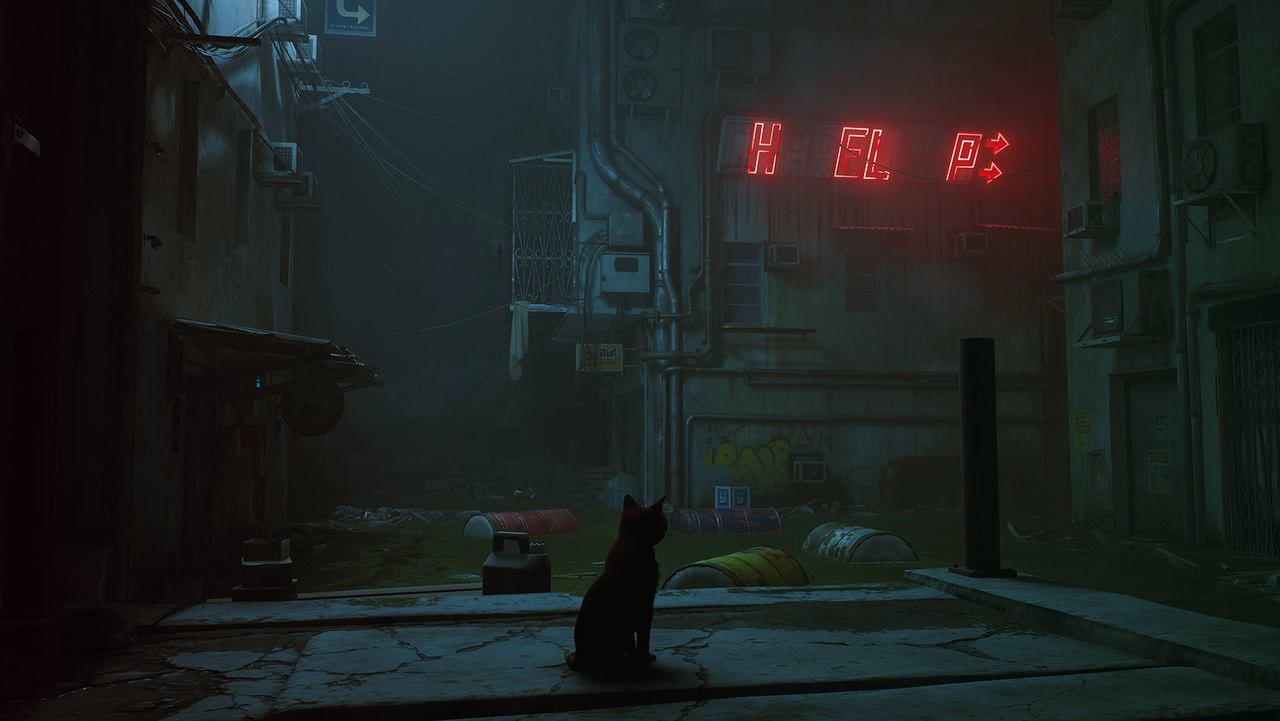 The cat sits on a ledge in a dark street under a red sign