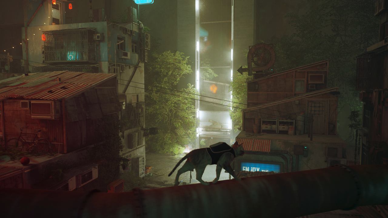 The cat crosses a wet rooftop above the city